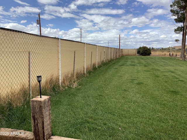 3607 E Mule Deer Rd, Pearce, AZ 85625 - view of yard