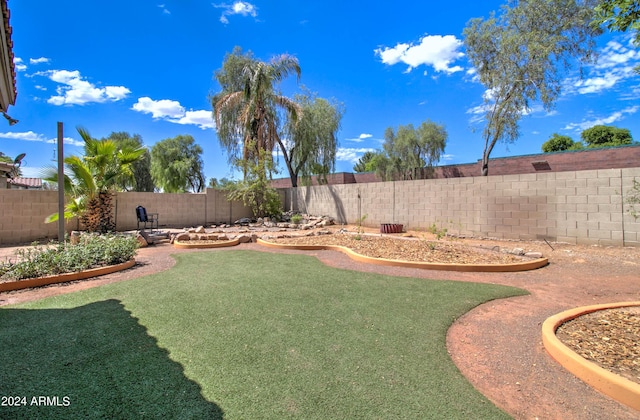 view of yard with a fenced backyard