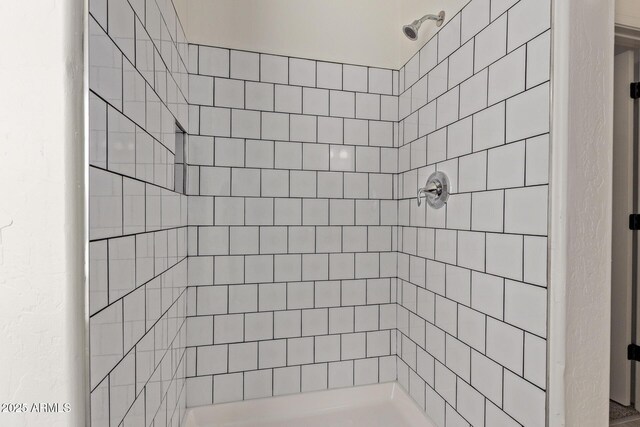 19006 E Karsten Dr, Queen Creek, AZ 85142 - full bath featuring a tile shower