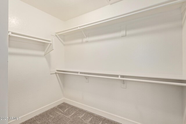 19006 E Karsten Dr, Queen Creek, AZ 85142 - spacious closet featuring carpet floors