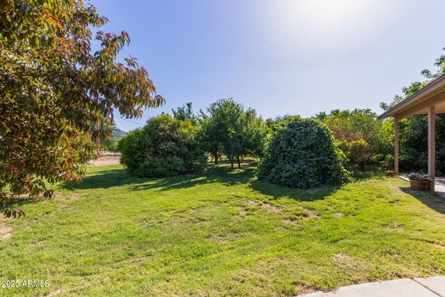 19006 E Karsten Dr, Queen Creek, AZ 85142 - view of green lawn
