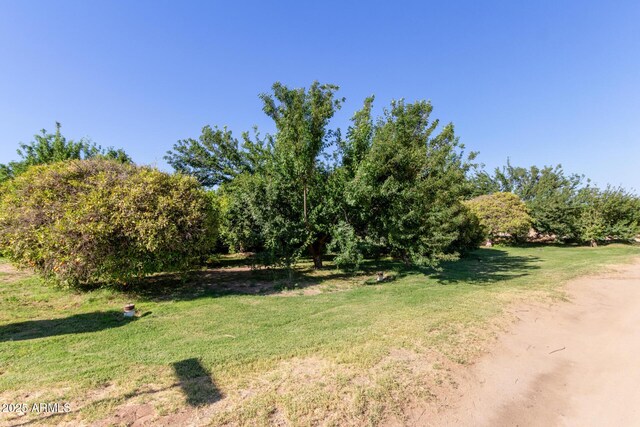 19006 E Karsten Dr, Queen Creek, AZ 85142 - view of green lawn