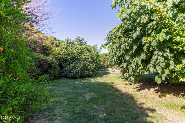 19006 E Karsten Dr, Queen Creek, AZ 85142 - view of grassy yard