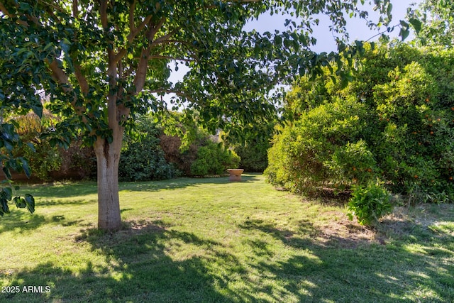 19006 E Karsten Dr, Queen Creek, AZ 85142 - view of green lawn