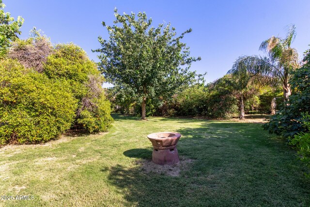 19006 E Karsten Dr, Queen Creek, AZ 85142 - view of green lawn
