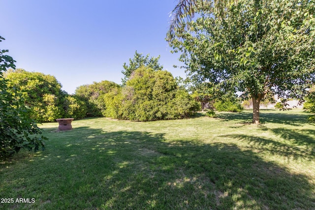 19006 E Karsten Dr, Queen Creek, AZ 85142 - view of grassy yard