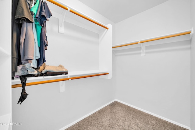 14521 W Gelding Dr, Surprise, AZ 85379 - spacious closet featuring carpet