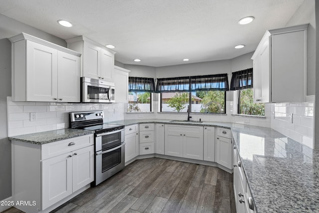 3822 E Florian Ave, Mesa, AZ 85206 - kitchen featuring stainless steel appliances, a sink, plenty of natural light, dark wood-style flooring, and recessed lighting