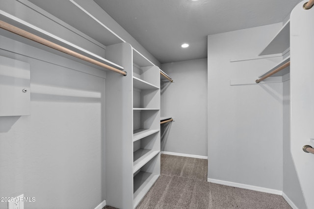3822 E Florian Ave, Mesa, AZ 85206 - spacious closet with dark carpet