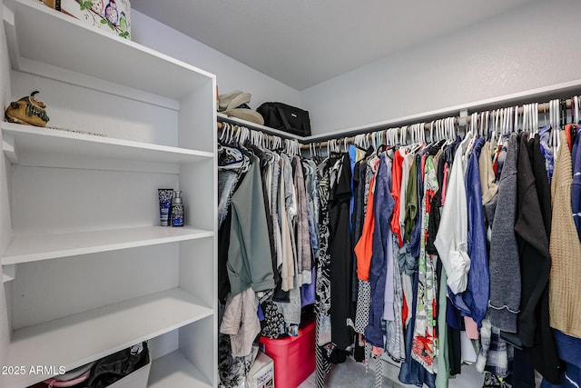 view of spacious closet