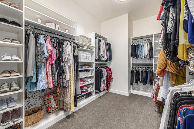 walk in closet with carpet flooring