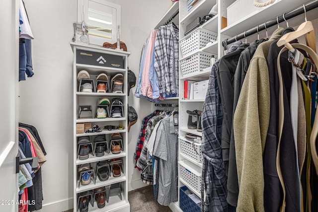 spacious closet with carpet floors