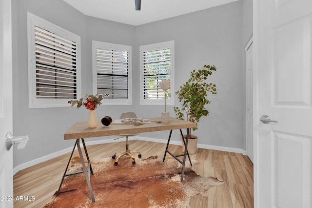 office area featuring hardwood / wood-style flooring