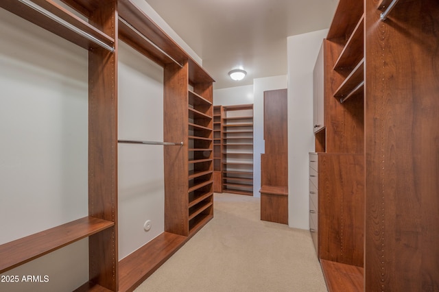 spacious closet featuring light colored carpet