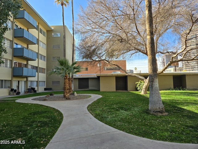 view of community with a yard