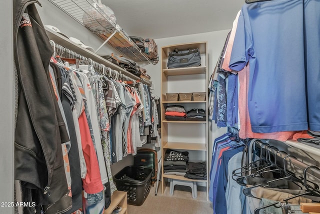 spacious closet featuring carpet flooring