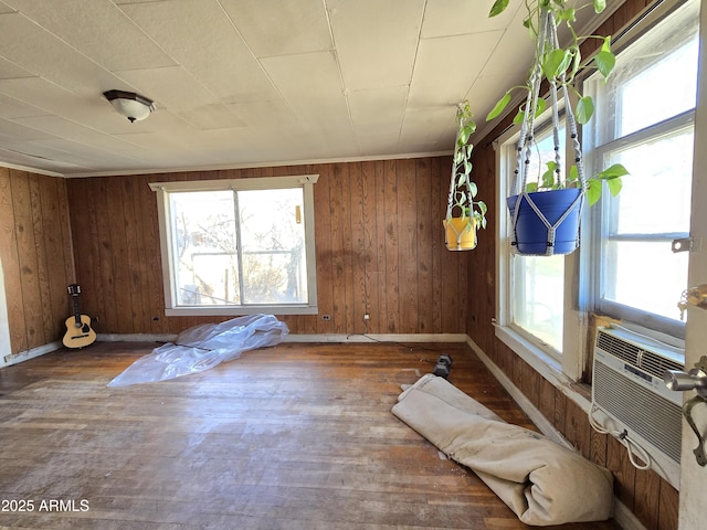 interior space featuring plenty of natural light, wood finished floors, and wooden walls