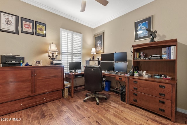 home office featuring light hardwood / wood-style flooring, ceiling fan, and ornamental molding