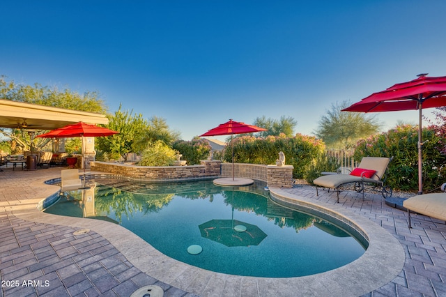 view of swimming pool with a patio