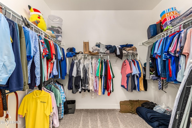 spacious closet featuring carpet flooring