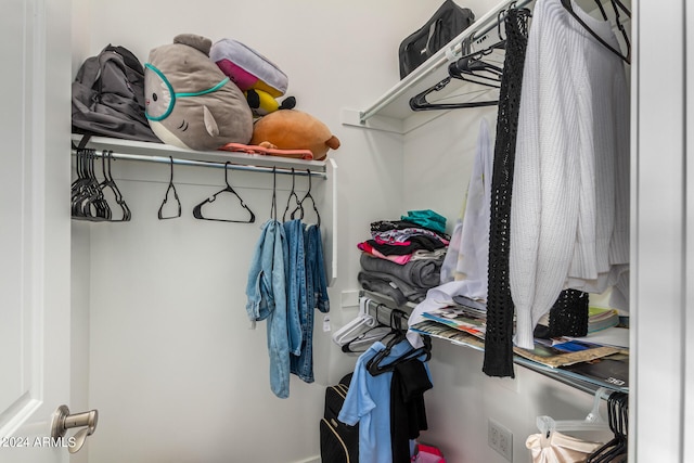 view of spacious closet