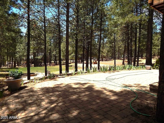 2372 Summer Loop, Forest Lakes, AZ 85931 - view of surrounding community