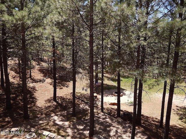 2372 Summer Loop, Forest Lakes, AZ 85931 - water view