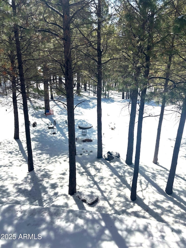 2372 Summer Loop, Forest Lakes, AZ 85931 - view of yard layered in snow