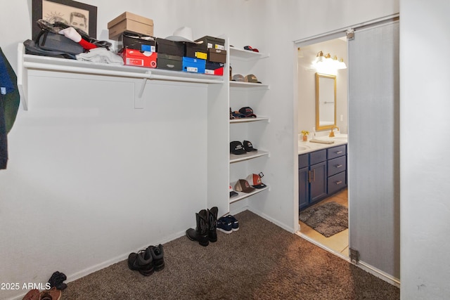 spacious closet featuring light carpet and sink