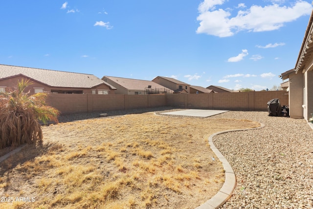 view of yard featuring a patio area