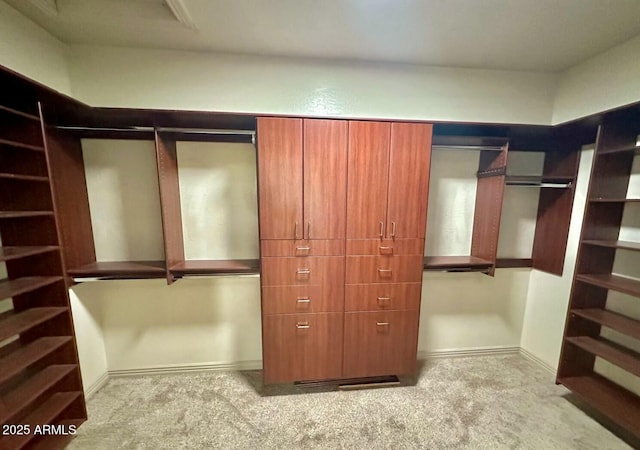 702 E Capricorn Way, Chandler, AZ 85249 - walk in closet featuring carpet flooring