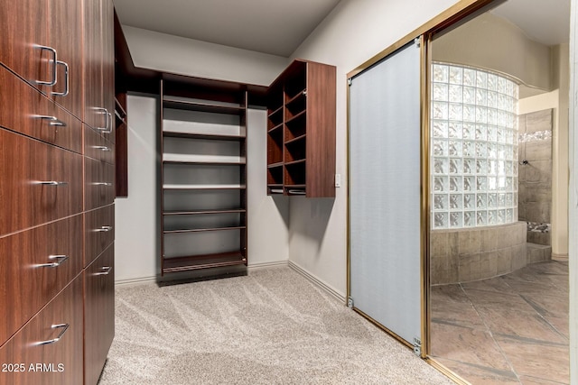 702 E Capricorn Way, Chandler, AZ 85249 - view of walk in closet