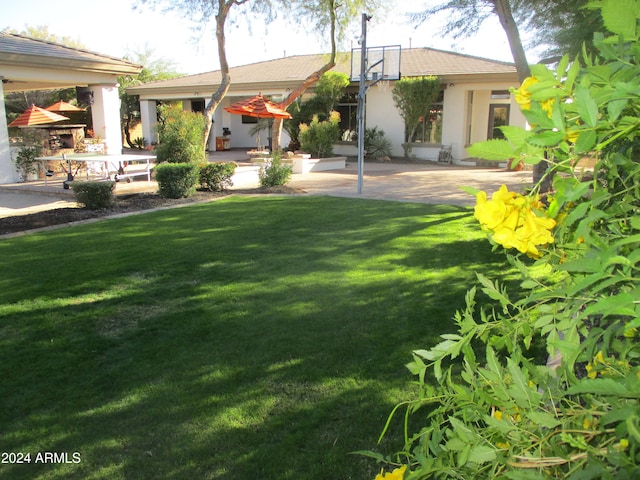 view of yard with a patio