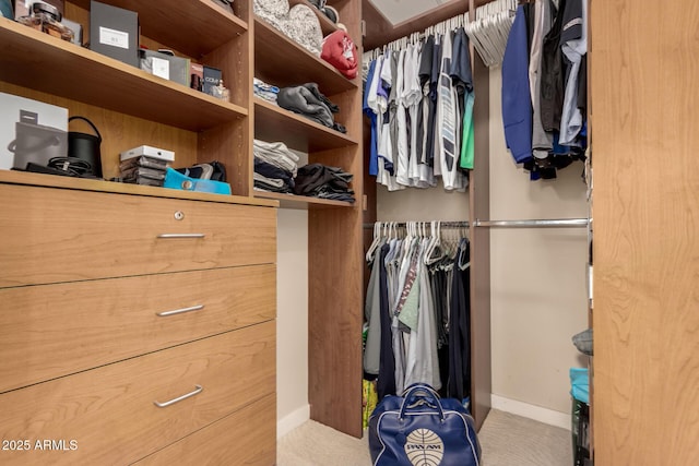 view of spacious closet