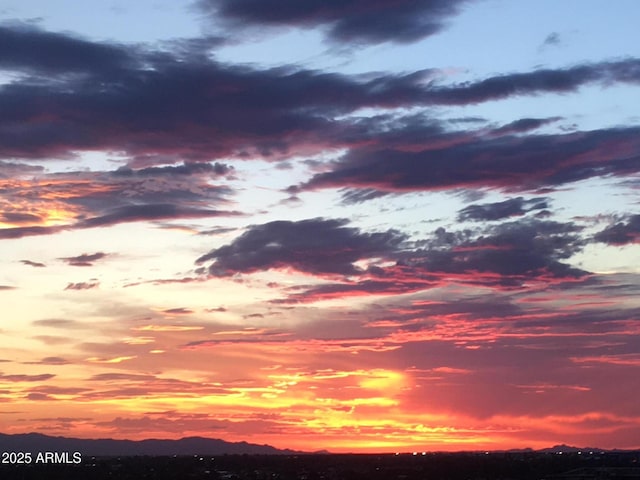 view of nature at dusk