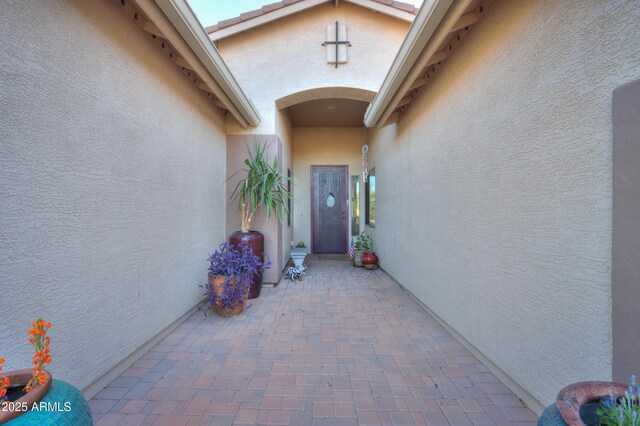 view of exterior entry with a patio and stucco siding