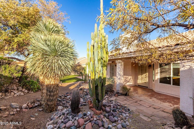 view of yard featuring a patio