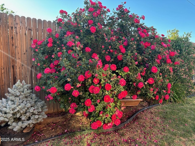 exterior details with fence