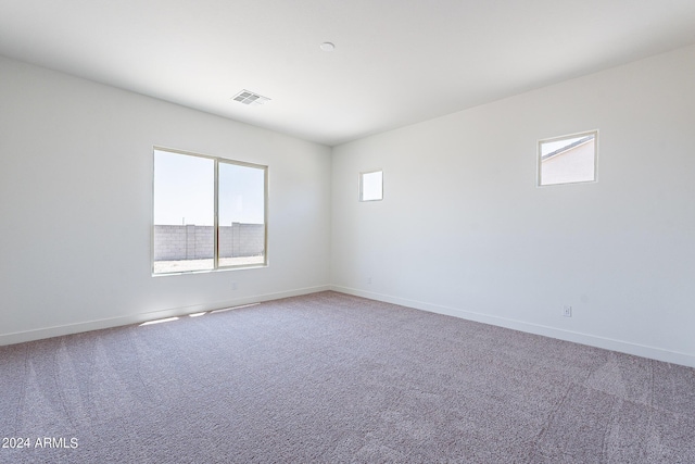 carpeted spare room featuring a wealth of natural light