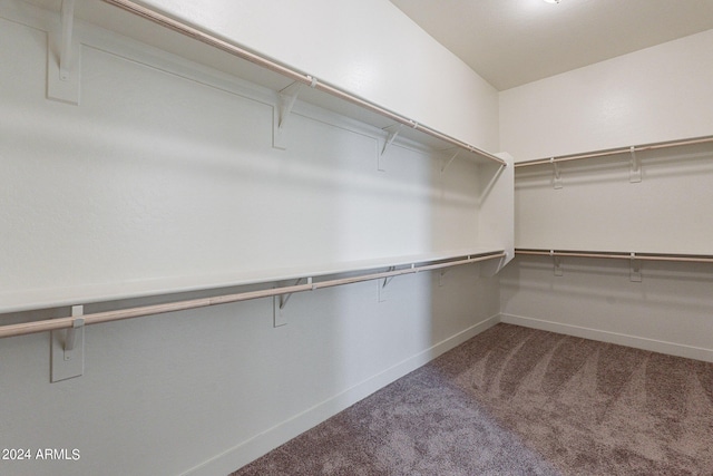 spacious closet featuring carpet