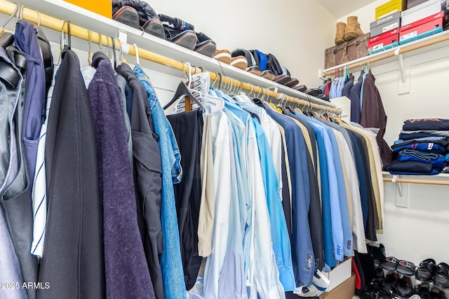 view of spacious closet