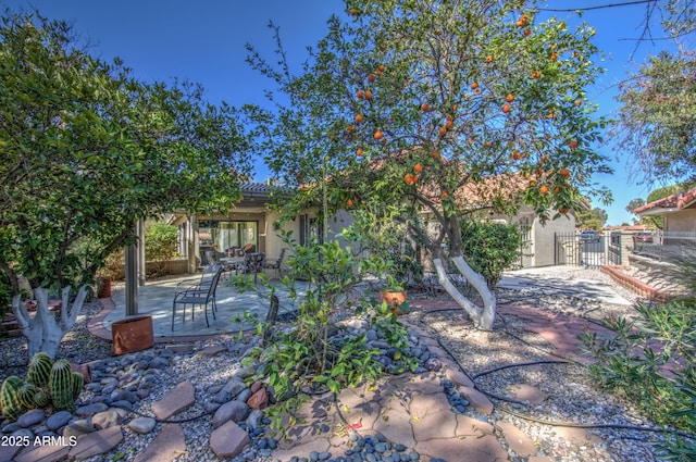 back of property featuring a patio area