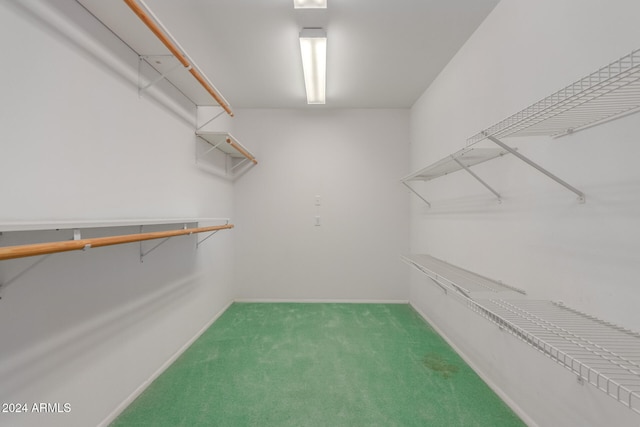 spacious closet featuring carpet flooring