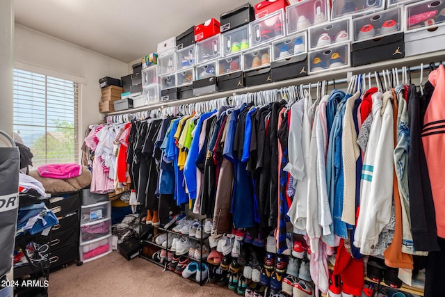 spacious closet with carpet flooring