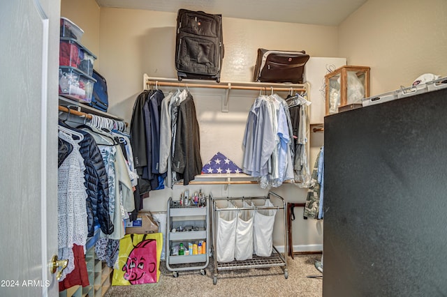 spacious closet with carpet floors