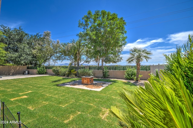 view of yard with a patio area