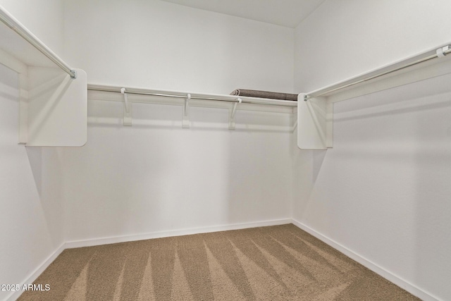 spacious closet with carpet