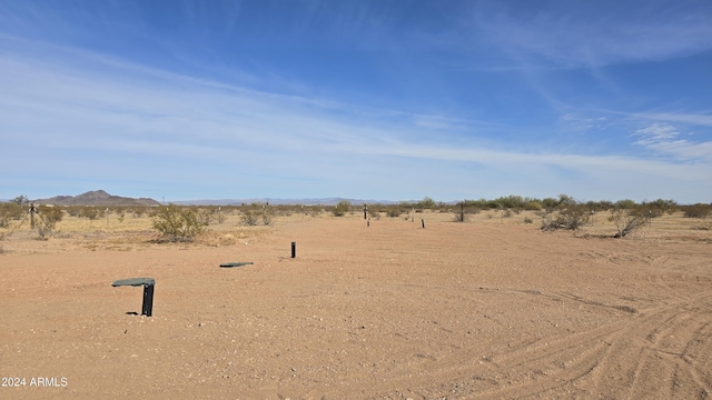 view of yard with a rural view