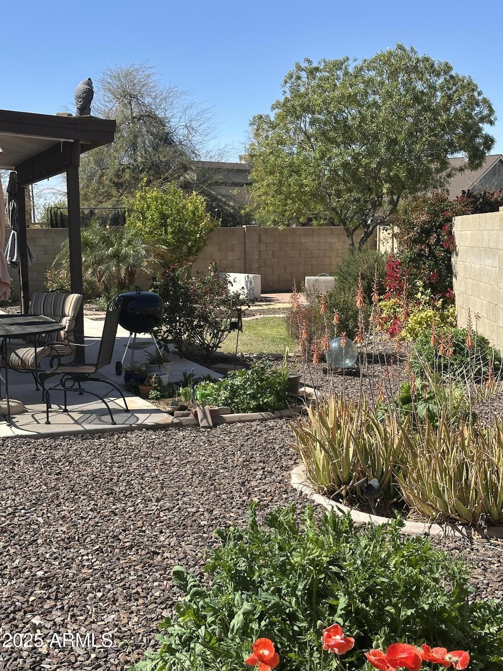 view of yard featuring a patio and a fenced backyard