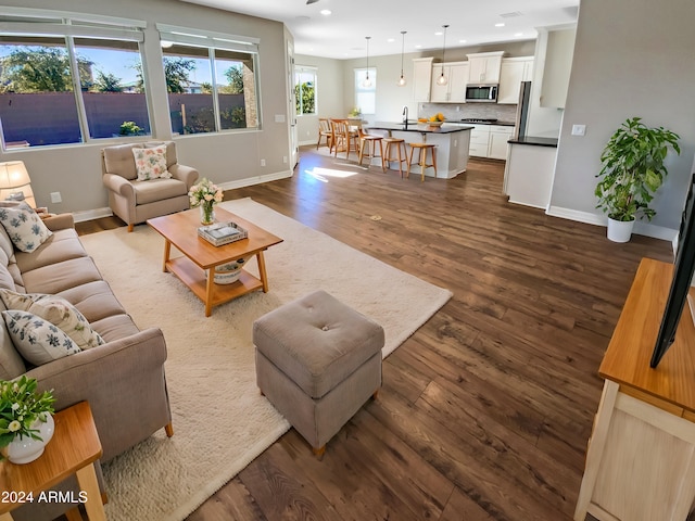 living room featuring dark hardwood / wood-style flooring and sink